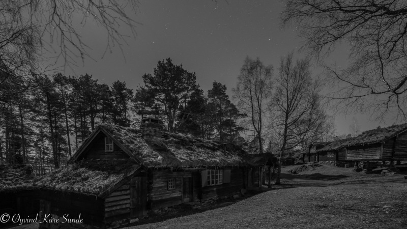 1_DSC02142-2-1