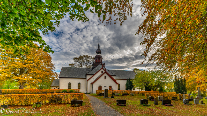 DSC09923-2-1