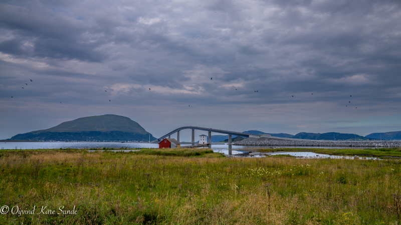 OKS06209