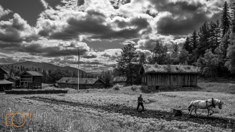 OKS09154-Edit-Edit-3