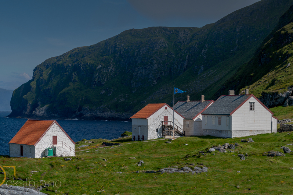 DSC08605-Pano