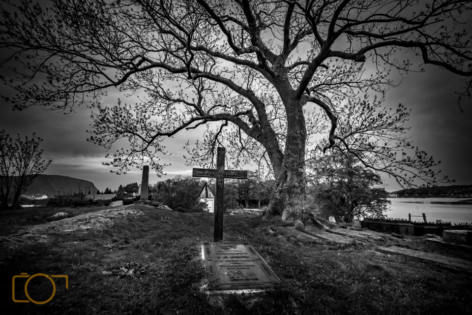 DSC9076-Edit