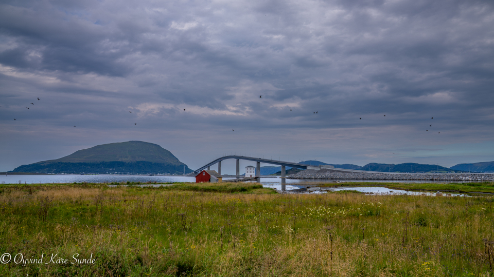 OKS06209