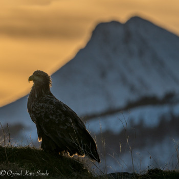 1_DSC00781-Edit-1