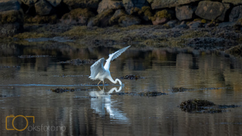 1_DSC01379
