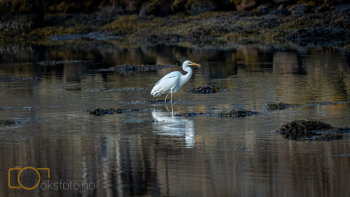 1_DSC01381