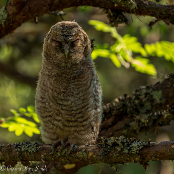 1_DSC04683-2-1