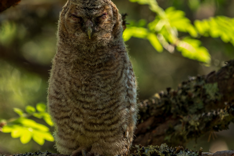 1_DSC04683-2-1