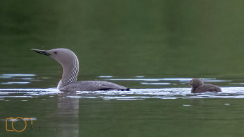 A1S06232-Edit-2