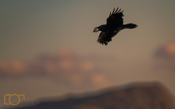 DSC06129-Edit-2