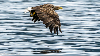 DSC0907-1