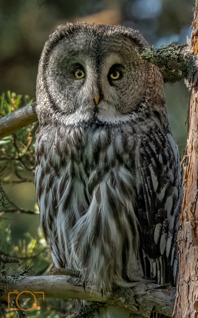 1_A1S05302-Edit-Edit-Edit-Edit-Edit-Edit-2