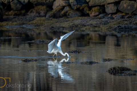 1_DSC01379