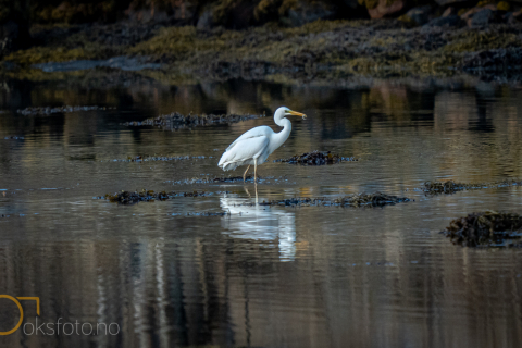 1_DSC01381