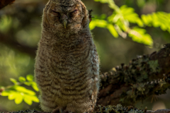 1_DSC04683-2-1