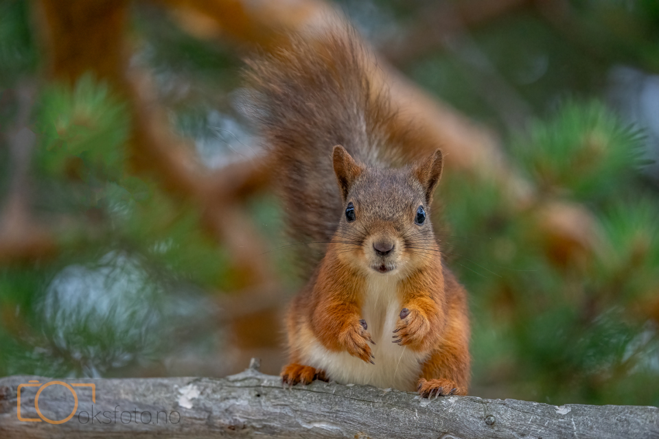 A1S00369-Edit-Edit-Edit-2