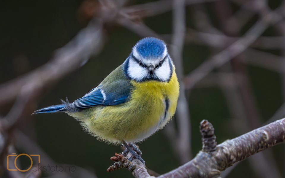 A1S01173-Enhanced-NR-Edit-3