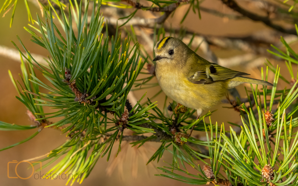 A1S01858-Edit-Edit-2