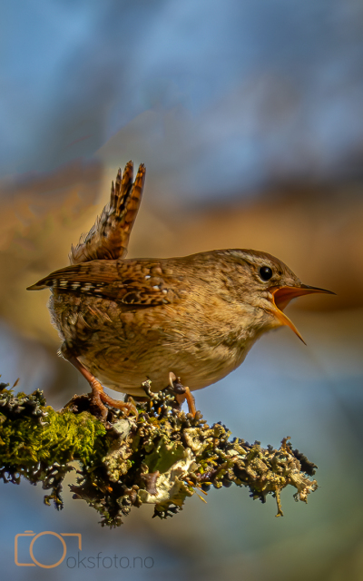 A1S01966-Enhanced-NR-Edit-Edit-Edit-2