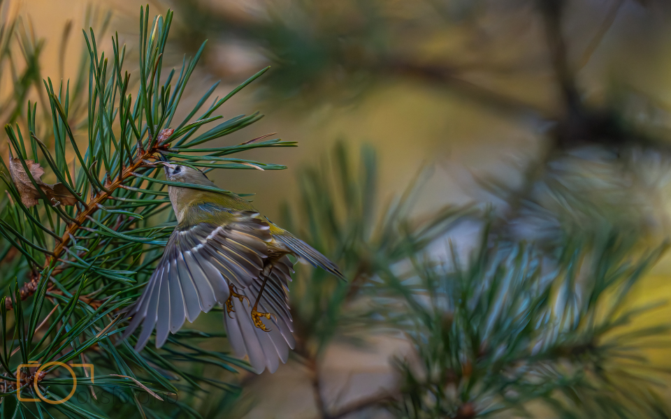 A1S02023-Enhanced-NR-Edit-Edit