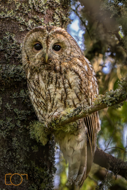 A1S02091-2-Enhanced-NR-Edit-Edit-2