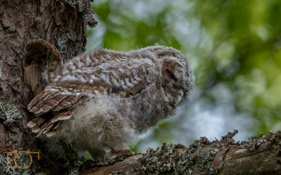 A1S02212-Enhanced-NR