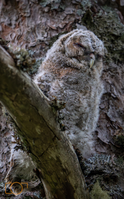 A1S02288-Enhanced-NR-2