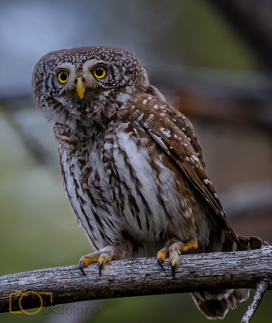 A1S03690-Edit-Edit-Edit-2