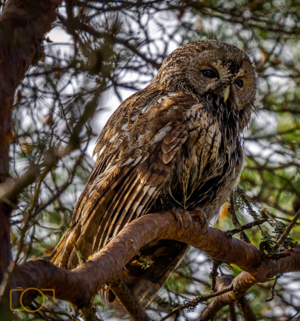 A1S04800-Edit-Edit-2