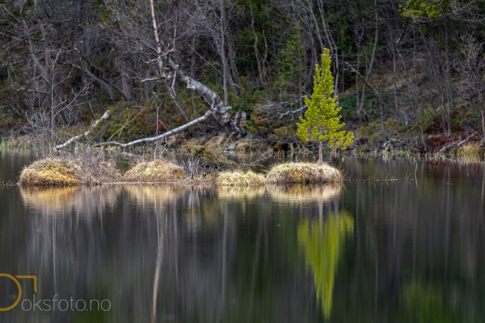 A1S04831-Pano