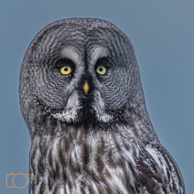 A1S05093-Edit-Edit-3