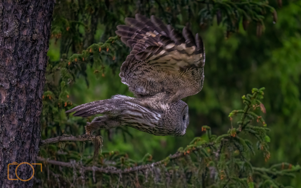 A1S05120-Edit-Edit