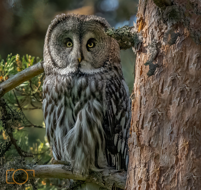 A1S05302-Edit-Edit-Edit-Edit-Edit-Edit-2