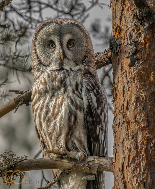 A1S05474-Edit-Edit-Edit-Edit