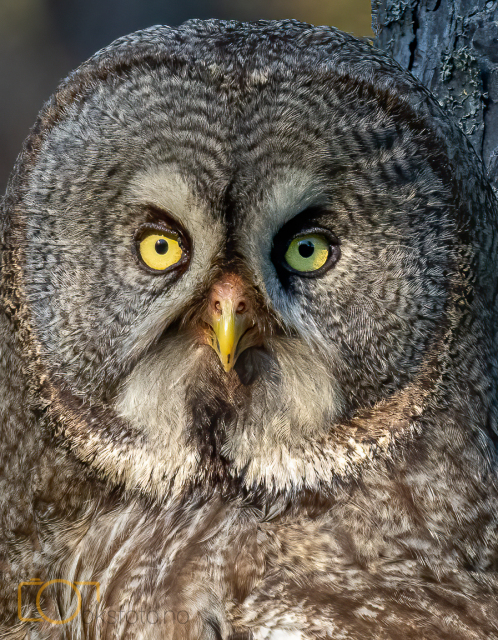 A1S05998-Edit-Edit-Edit