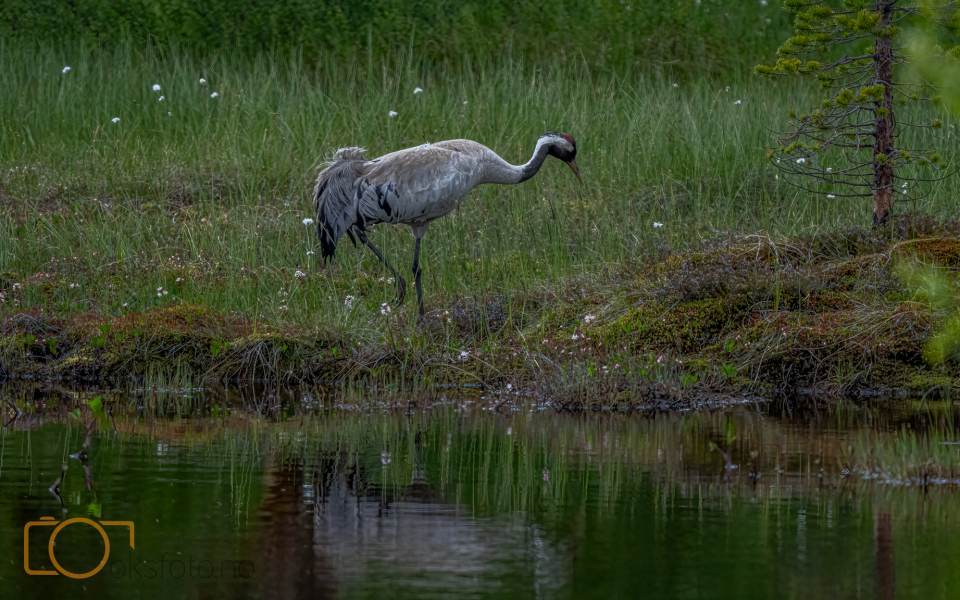 A1S06211-Edit-Edit-Edit-2