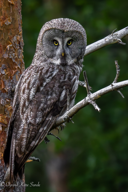 A1S06309-Enhanced-NR-Edit-Edit-2