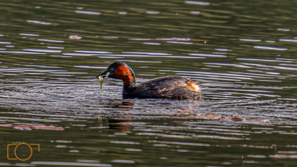 A1S06555-Edit-Edit-2