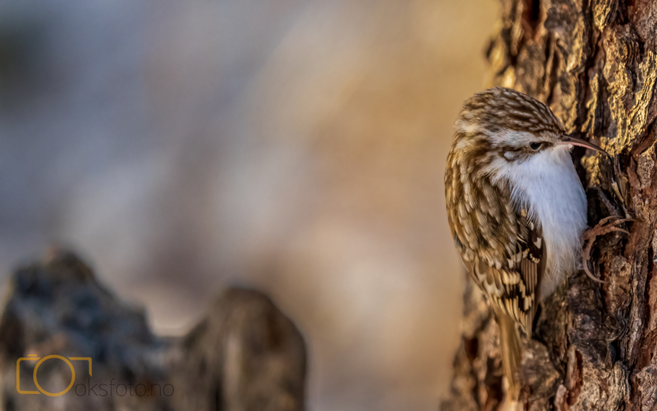 A1S07832-Edit-Edit-2