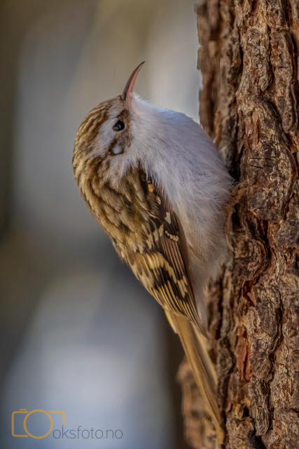 A1S07851-Edit-Edit-2