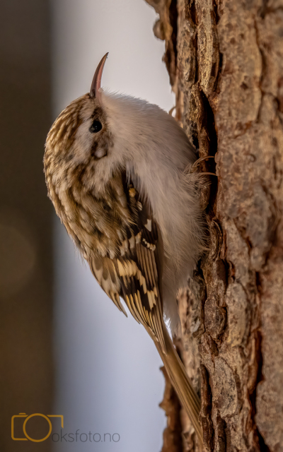 A1S07857-Edit-Edit-2