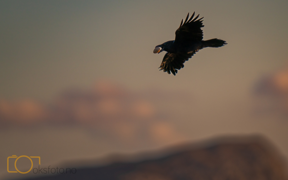 DSC06129-Edit-2