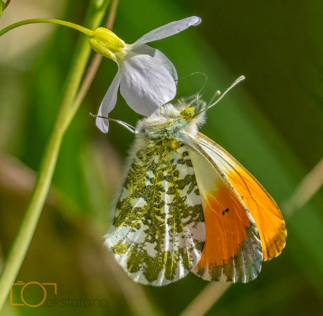 A1S04253-Edit-Edit-Edit-Edit