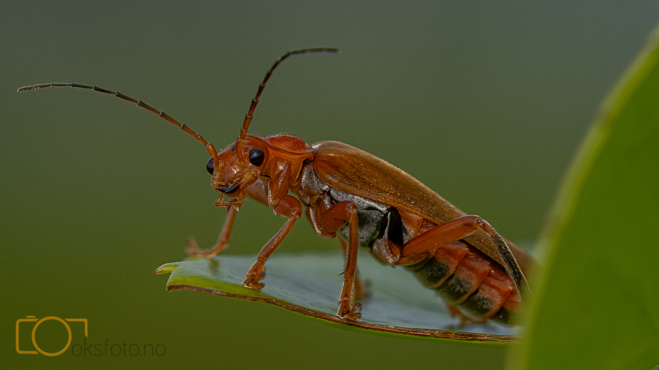 A1S06436-Enhanced-NR-Edit-Edit-2