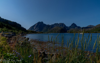 1_DSC00144-1