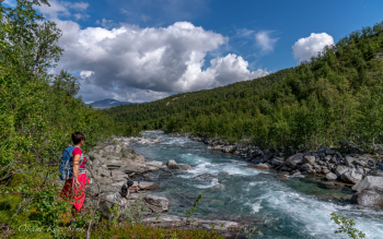 1_DSC00868-1