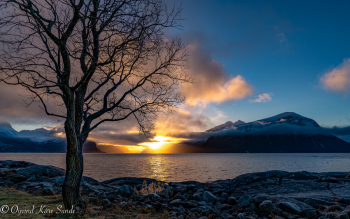 1_DSC01279-2-1