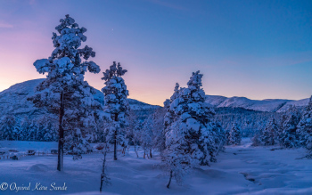 1_DSC01339-2-1