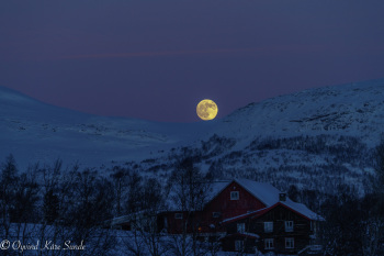 1_DSC01712-1