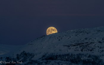 1_DSC01723-1